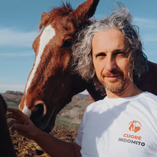 CUORE INDOMITO - Maglietta 100% cotone con logo IHP. Versioni uomo e donna.