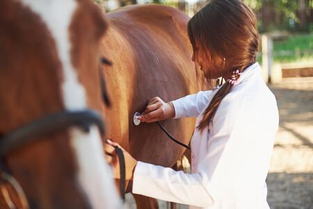 Spese veterinarie e legali