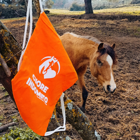 CUORE INDOMITO - Sacca Zaino