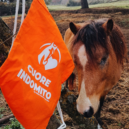 CUORE INDOMITO - Sacca Zaino