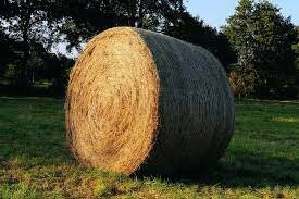 Rotoballa di fieno